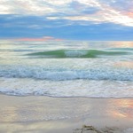 sandytom