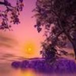 calmness