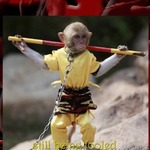 worstfool1