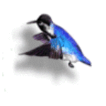 4hummingbird