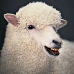 eweneek