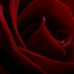 unfurling