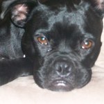 Cherie1
