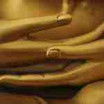 lovedharma