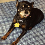 tootsiesmom