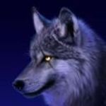 WolfgangMinerva