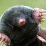 molehands