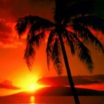 sunset33