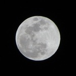 moonwater