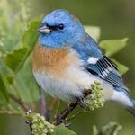 hopeful657