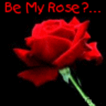 jeanne36roses
