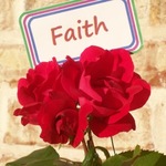 FaithFlower