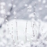 Peytons12212