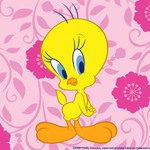 IDonna