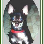 Corky46