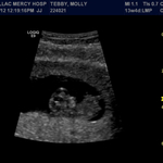 mollytebby24