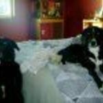 missy12358104