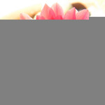 desertflower123