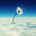 NoGivingUp