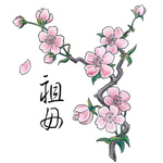 Blossom123