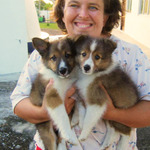 annealisa