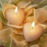 shelle68