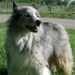 redloui