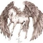 Pegasus678