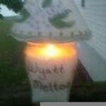 Wyatt0712