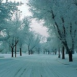 LovelySnow11