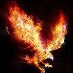 peacefulwarrior69