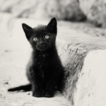 Tierna