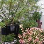 jenniflower73