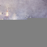 angelbabysnowwings