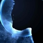 Luna113