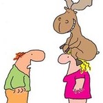 mooseyinn