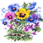 Daisymay2