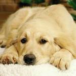 EcoGreenWorld