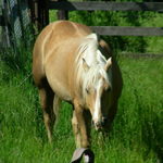 Nicker07