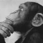 MonkeyB0y