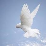 spiritofgod