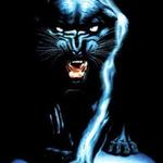 panther99