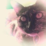 RoseLeopard1999