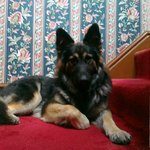 GwenY