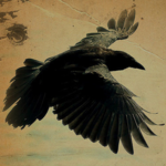 CrowFeather