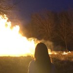 renalovve renalovve