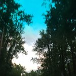 findingjuli findingjuli