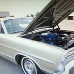 HopeRising HopeRising