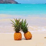 pineapples