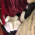 brittanyj15 brittanyj15